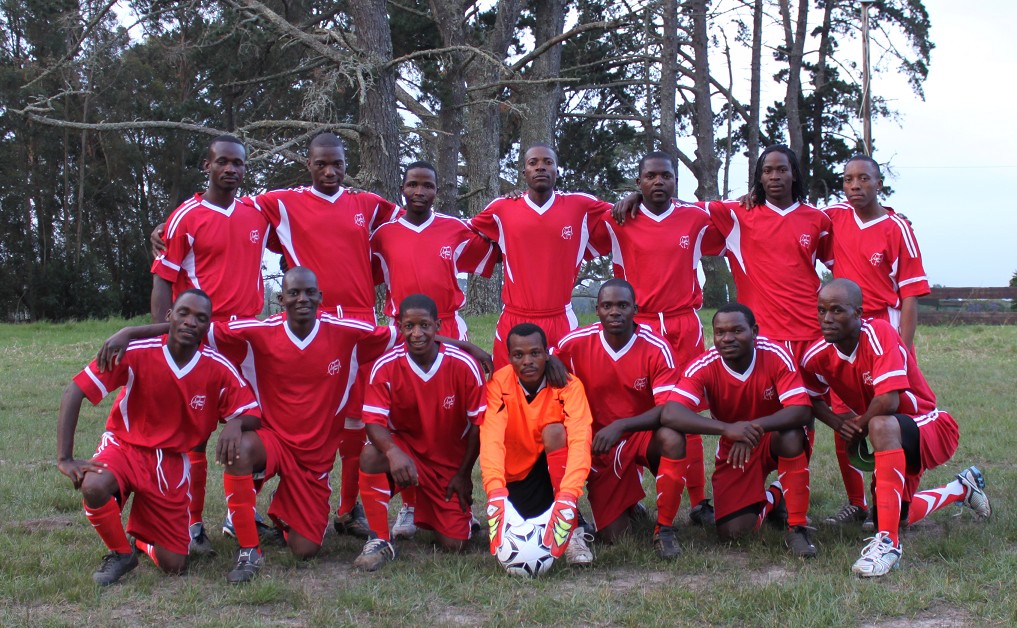Knysna Elephant Park FC